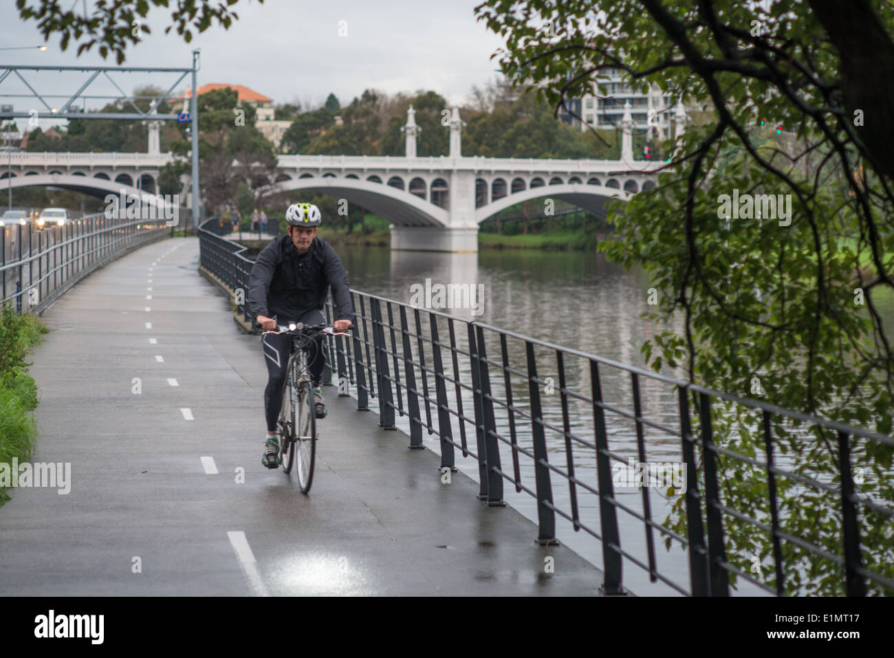 Ciclista sul Fiume Yarra Trail a Melbourne Foto Stock