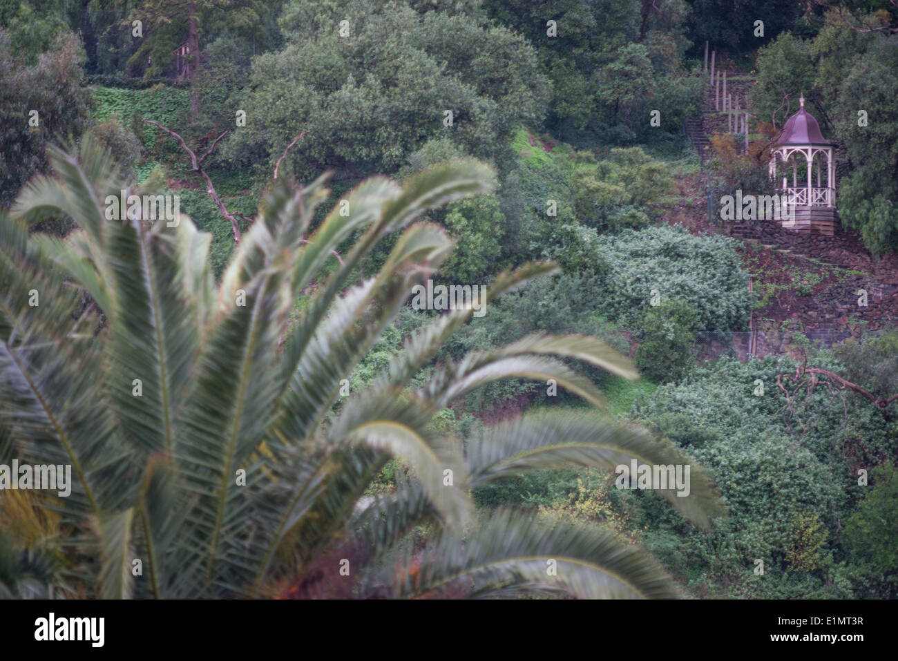 Accanto al fiume Yarra Melbourne Foto Stock