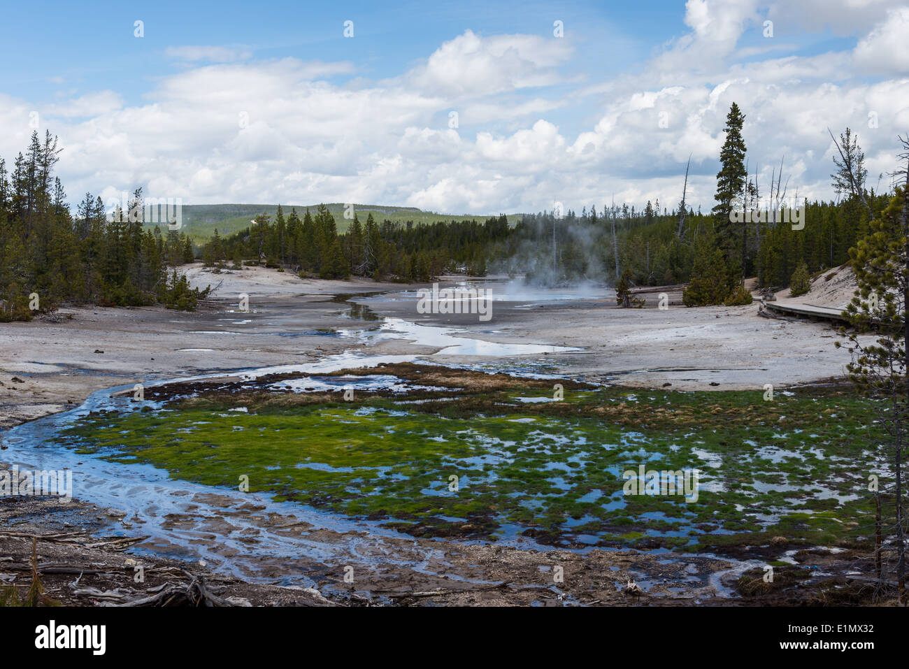 Piccoli ruscelli al Norris Geyser Basin. Parco Nazionale di Yellowstone, Wyoming negli Stati Uniti. Foto Stock
