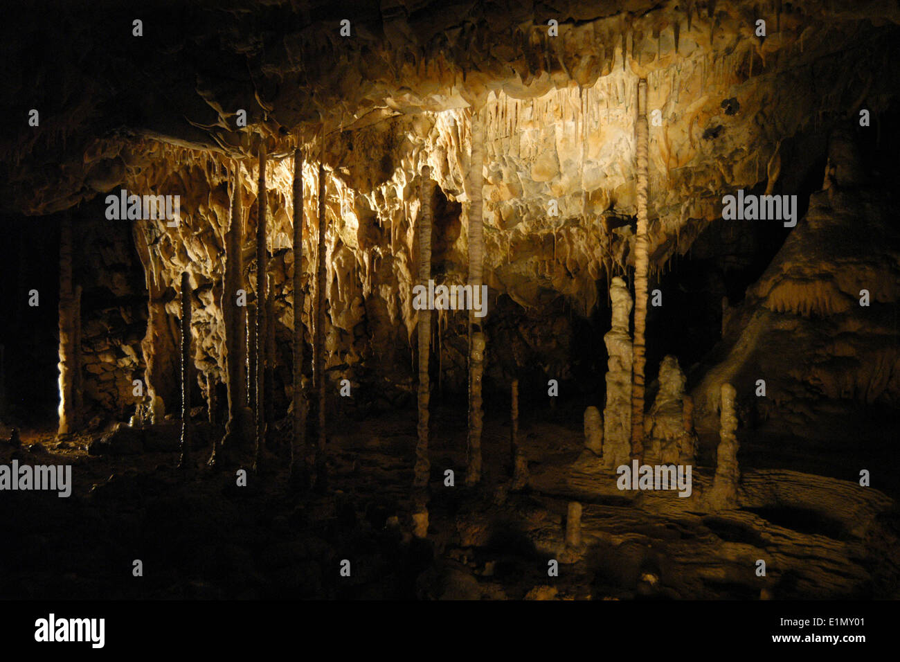 Il legno di bambù in Catherine's Cave (Katerinska Grotta) nel Carso Moravo (Moravsky Kras) Area vicino a Brno, Repubblica Ceca. Foto Stock