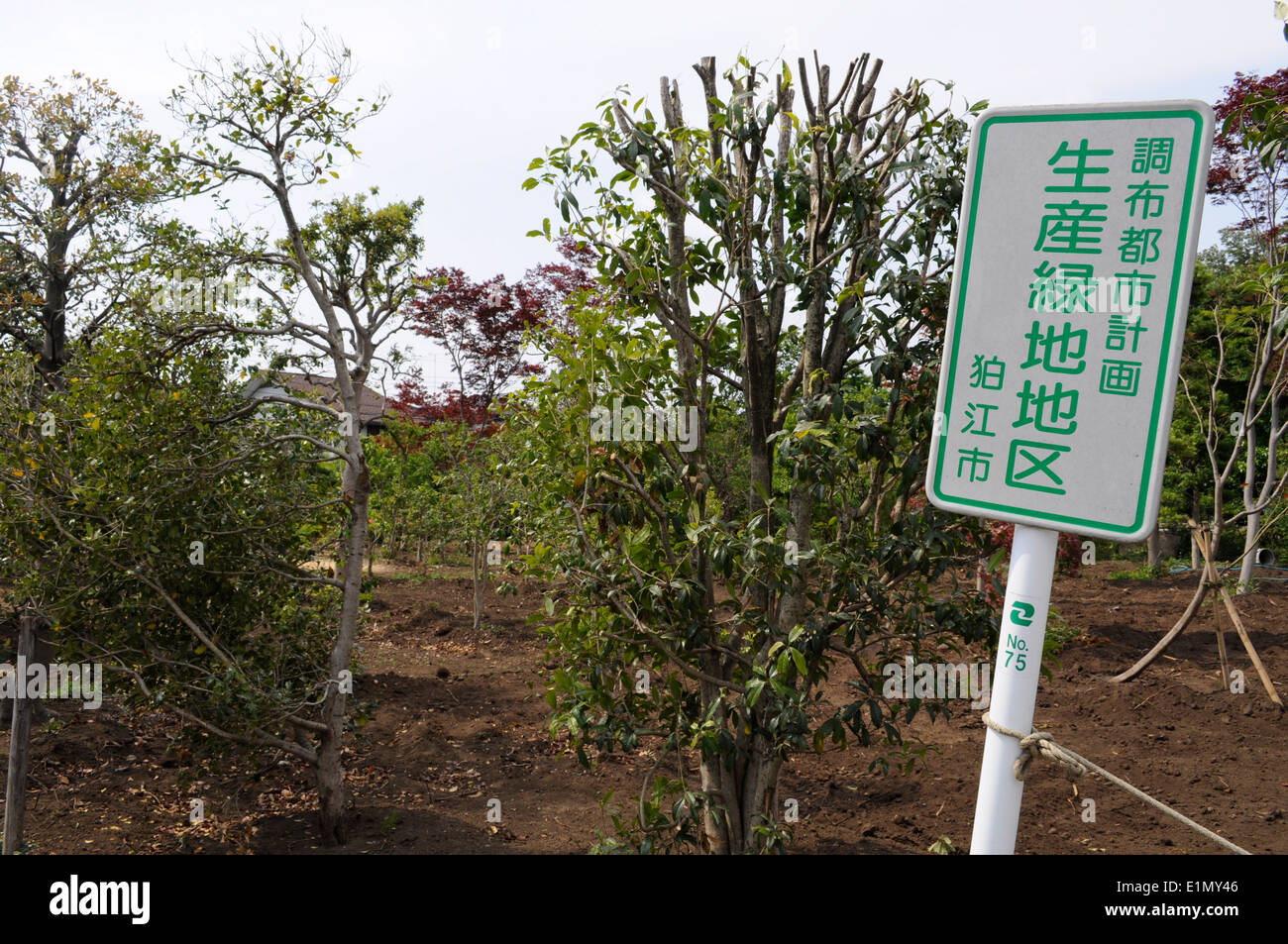 Produttivo area verde,Komae,Tokyo Giappone Foto Stock
