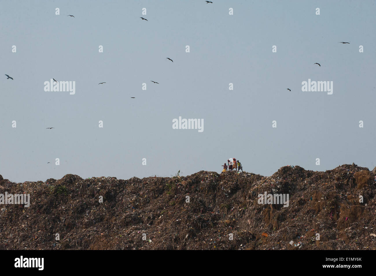 Calcutta, lo stato indiano del Bengala Occidentale. Il 6 giugno, 2014. Indian rag-raccoglitori trasportare sacchi di ordinati di materiali riciclabili raccolti dai rifiuti in una discarica di Calcutta, capitale dell'est lo stato indiano del Bengala Occidentale, 6 giugno 2014. Secondo la National Physical Laboratory Report 2013, garbage pressione in Calcutta di 16,5 tonnellate per chilometro quadrato, è la più alta del paese. © Tumpa Mondal/Xinhua/Alamy Live News Foto Stock