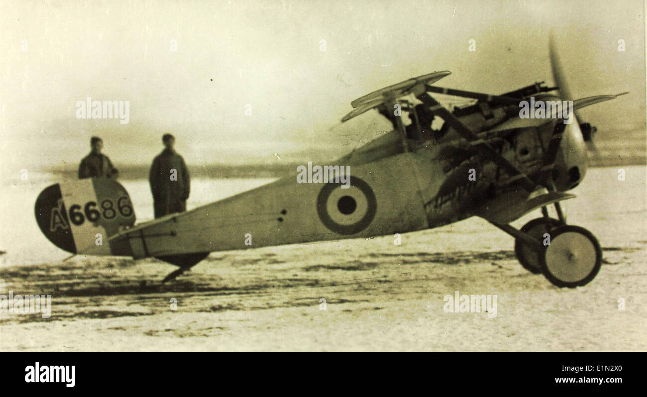 Il Nieuport Triplane era un caccia francese della prima guerra mondiale, noto per il suo caratteristico design a tre ali, utilizzato principalmente per il combattimento nelle trincee durante la guerra. Foto Stock