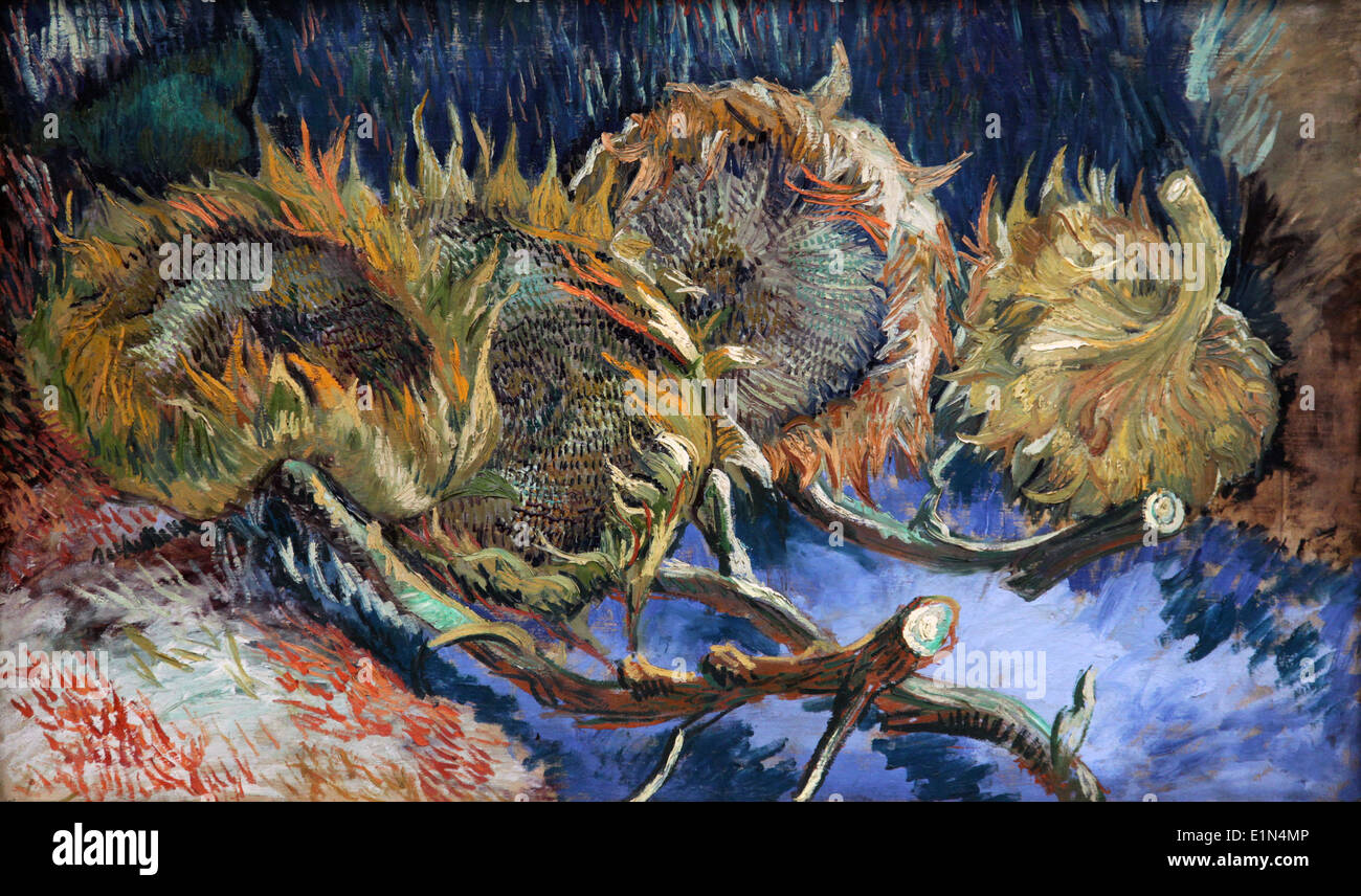 Vincent van Gogh (1887) capolavoro post-impressionista "quattro girasoli appassiti" (noto anche come "quattro girasoli recisi"), Foto Stock