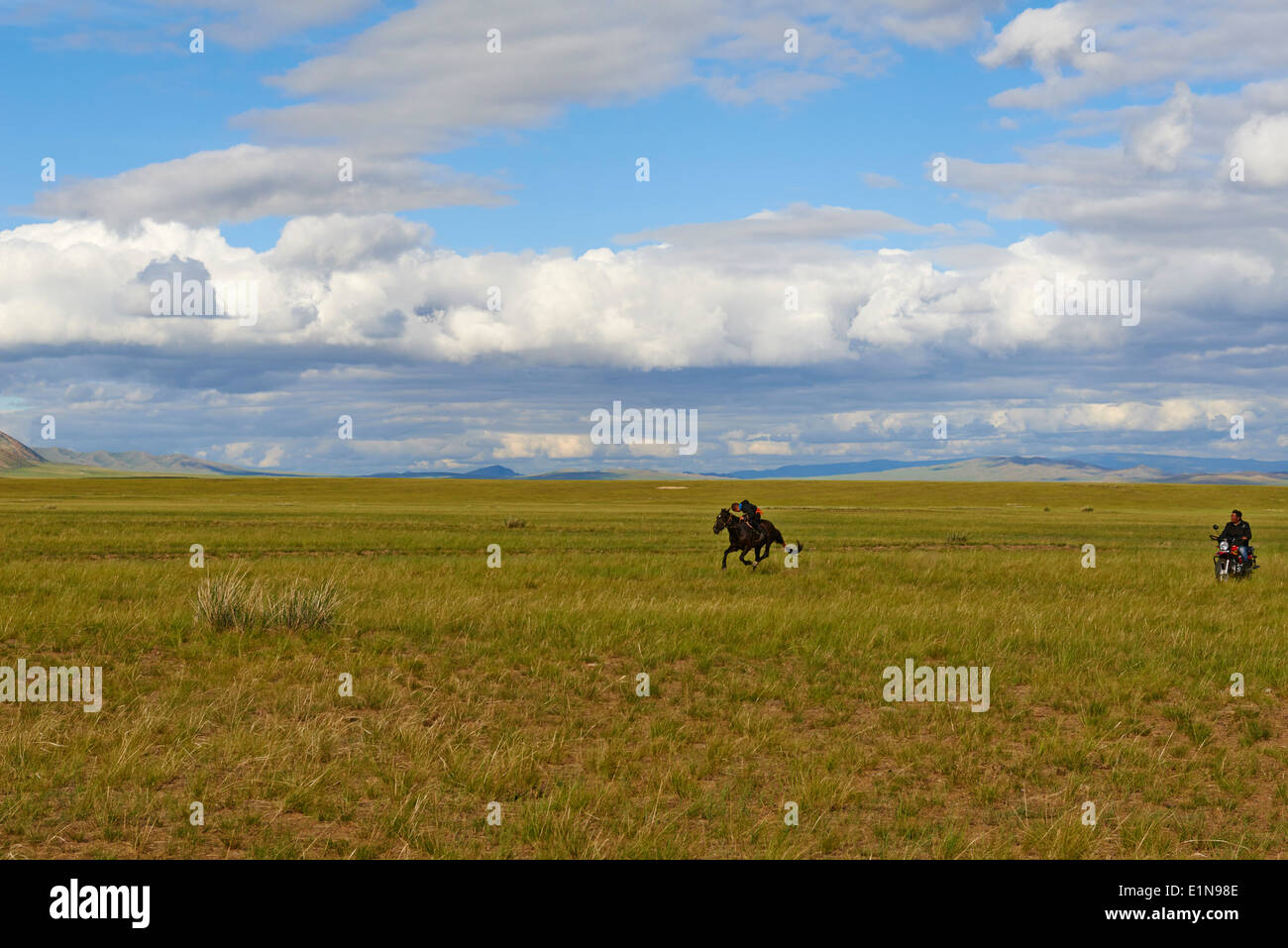 Mongolia, Tov provincia, formazione per Naadam cavallo di razza Foto Stock