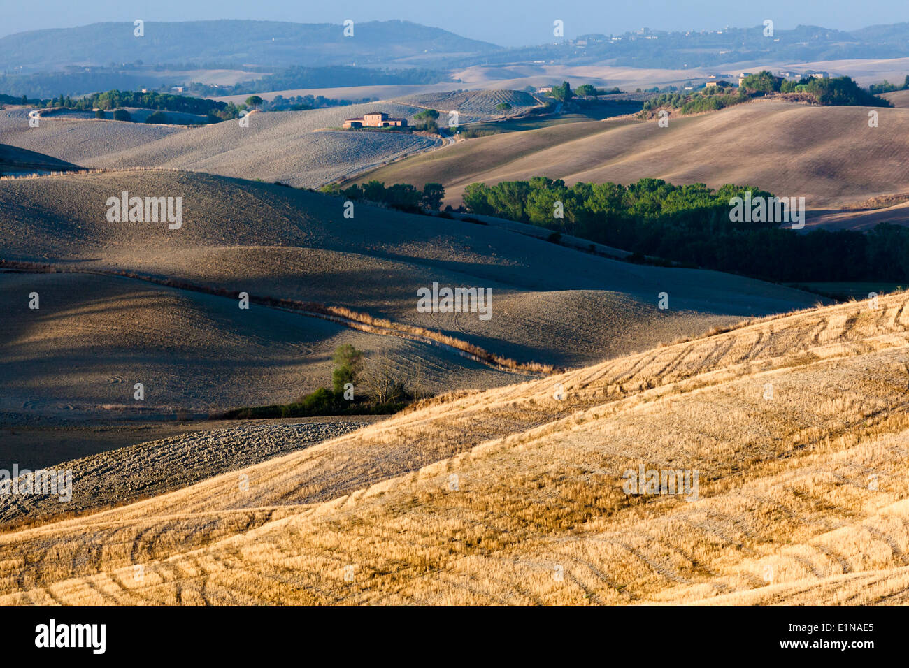 Paesaggio di mattina nella regione tra Siena e Asciano Crete Senesi, provincia di Siena, Toscana, Italia Foto Stock