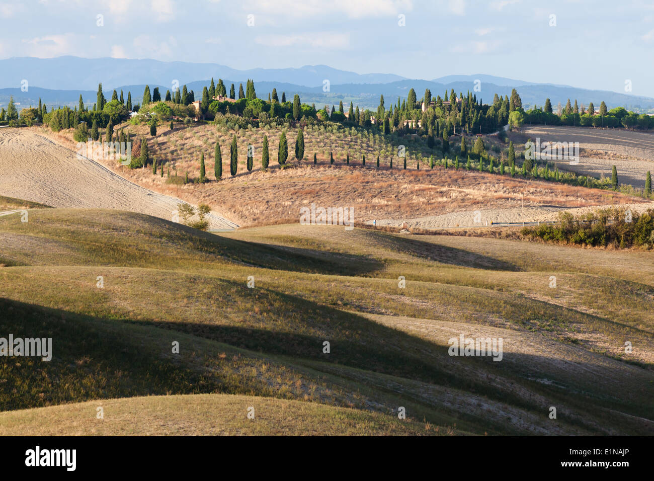 Paesaggio nella regione tra Siena e Asciano Crete Senesi, provincia di Siena, Toscana, Italia Foto Stock