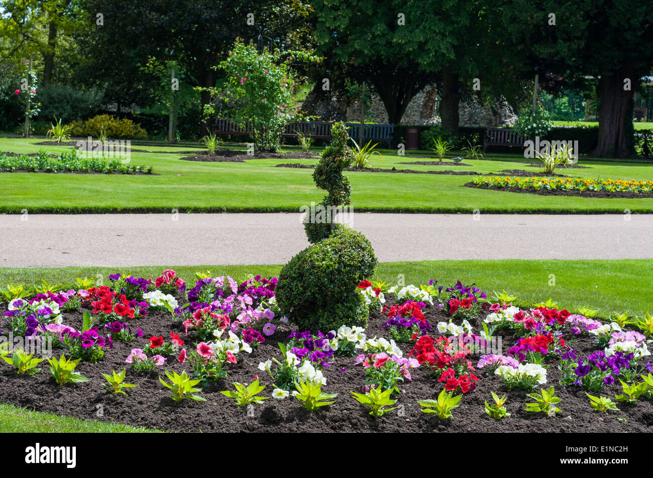 Spirale verde siepe piante letti molla aiuole di fiori Foto Stock