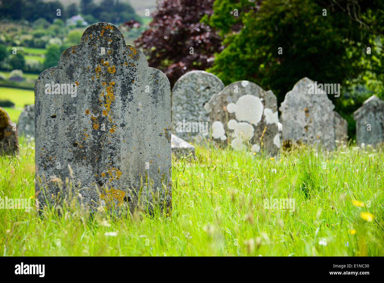 Lapidi in un paese cimitero con erba lunga e alberi Foto Stock