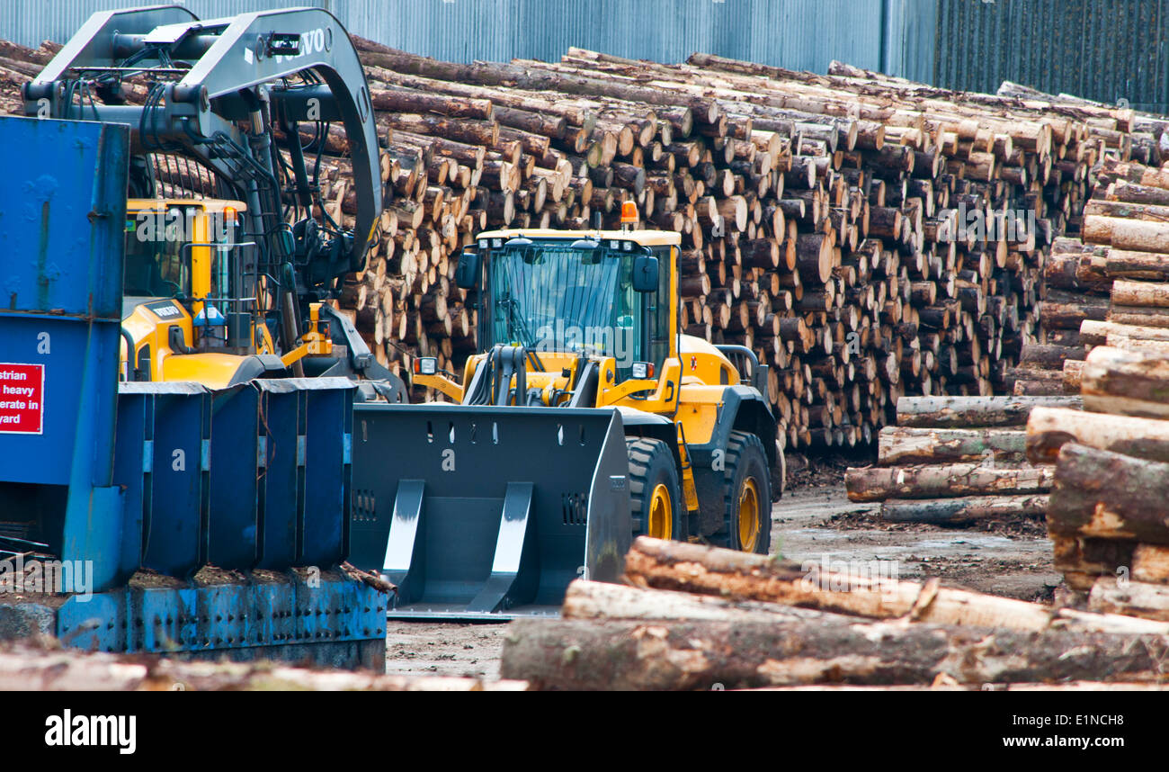 Log in una segheria di legname cantiere di legno Foto Stock