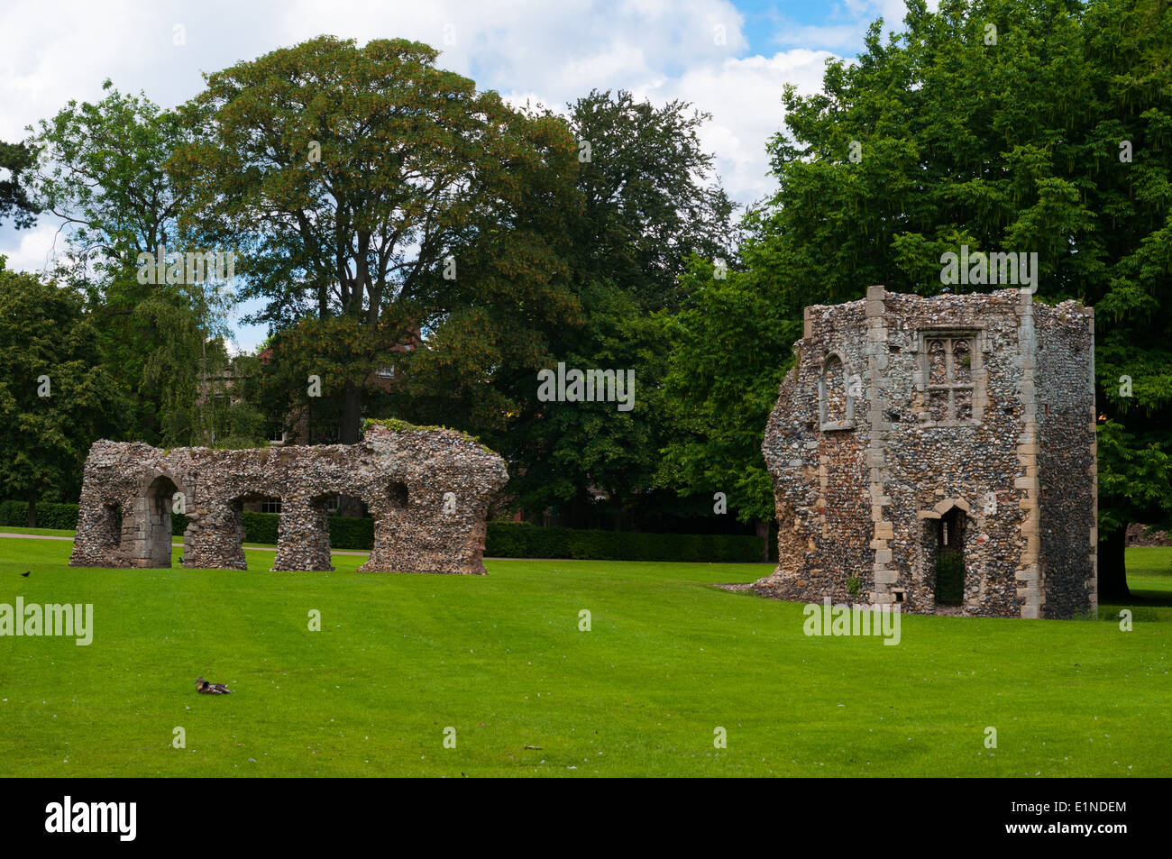 Rovine del giardino di Abbazia, monastero, Suffolk, Bury St Edmunds, Regno Unito Foto Stock