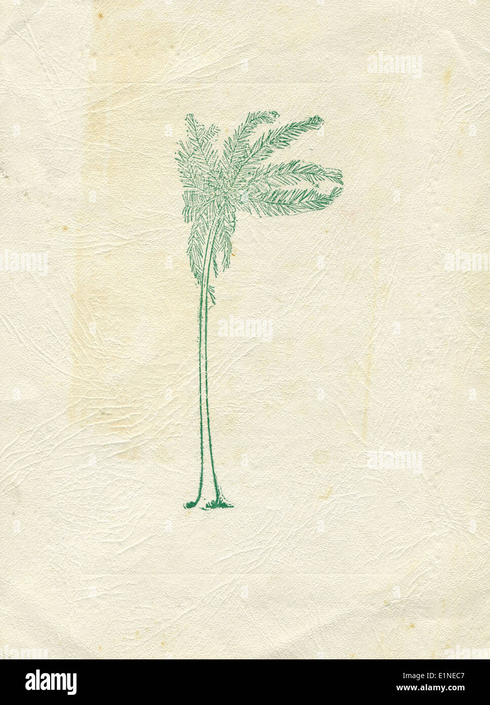 Questo menu del NAS Coco solo, datato intorno a Natale 1937, offre uno sguardo sulla vita quotidiana del personale della Marina degli Stati Uniti durante l'era pre-seconda guerra mondiale. La base della Marina degli Stati Uniti era situata nella zona del Canale di Panama e serviva come punto critico per le operazioni militari nella regione. Foto Stock