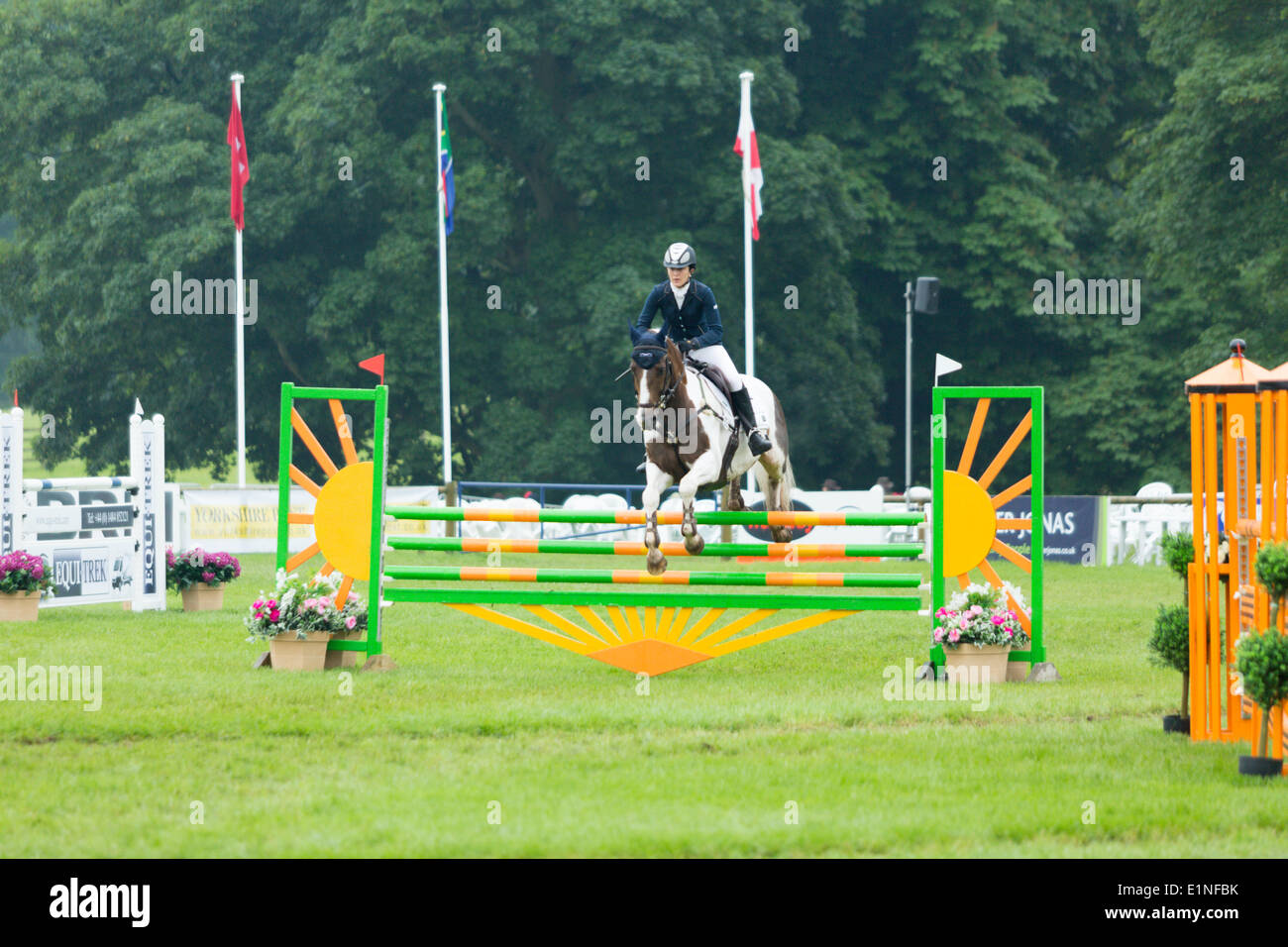 Bramham, UK. 07Th Giugno, 2014. Bramham International Horse Trials. Nella foto: Pixie Thomas (GBR) riding 'appena Jimmy II' Credit: qualsiasi fotografia4/Alamy Live News Foto Stock