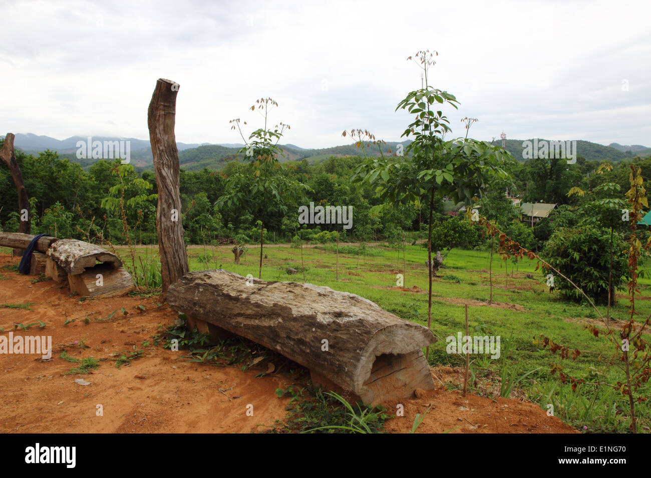 La mattina in montagna. Bella composizione del paesaggio Foto Stock
