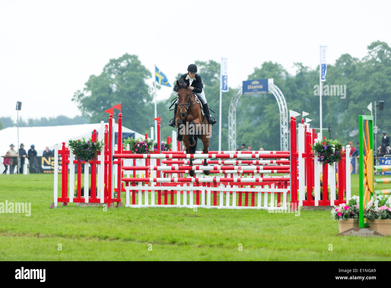 Bramham, UK. 07Th Giugno, 2014. Bramham International Horse Trials. Nella foto: Shandiss McDonald (CAN) riding 'Rockfield concedere credito": qualsiasi fotografia4/Alamy Live News Foto Stock