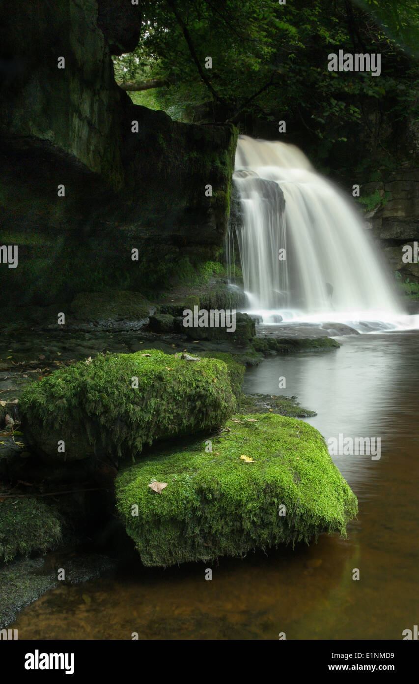 La cascata di West Burton - il paiolo di rame Foto Stock
