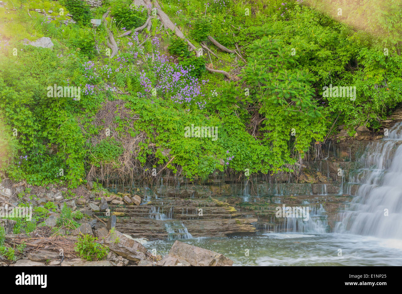 Cascata in un Glen nella tarda primavera. Foto Stock