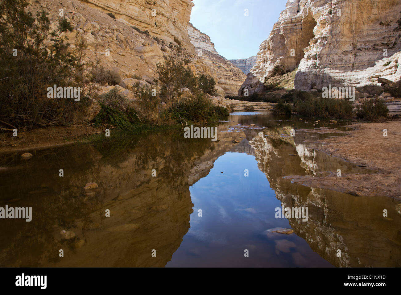 Ein Avdat, acqua dolce primavera nel deserto del Negev, Israele Foto Stock