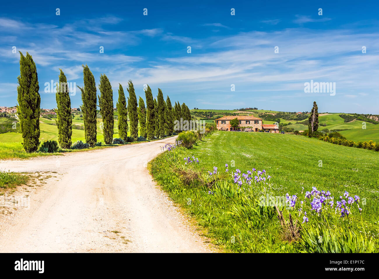 Toscana a molla Foto Stock