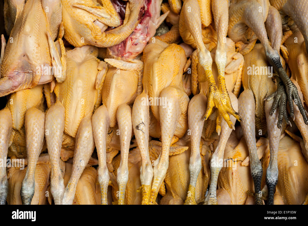 Materie fresche anatra organico per la vendita di cibo asiatico mercati Foto Stock
