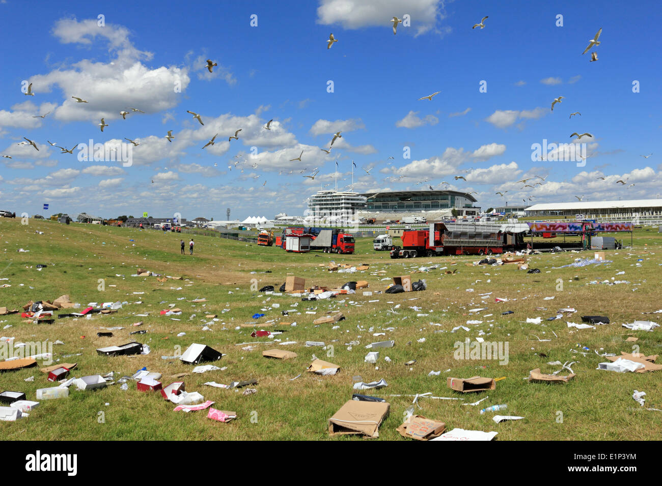 Epsom Downs Surrey in Inghilterra, Regno Unito. 8 Giugno 2014. La mattina dopo il Derby giorno una quantità impressionante di rifiuti principalmente le bottiglie di birra, lattine e fast food contenitori è sparsi lungo il Downs. I gabbiani overhead cerchio alla ricerca di scarti di cibo da mangiare. Da domani tutto questo sarà cancellato e Epsom Downs tornerà alla normalità, fino al prossimo anno. Credito: Julia Gavin/Alamy Live News Foto Stock