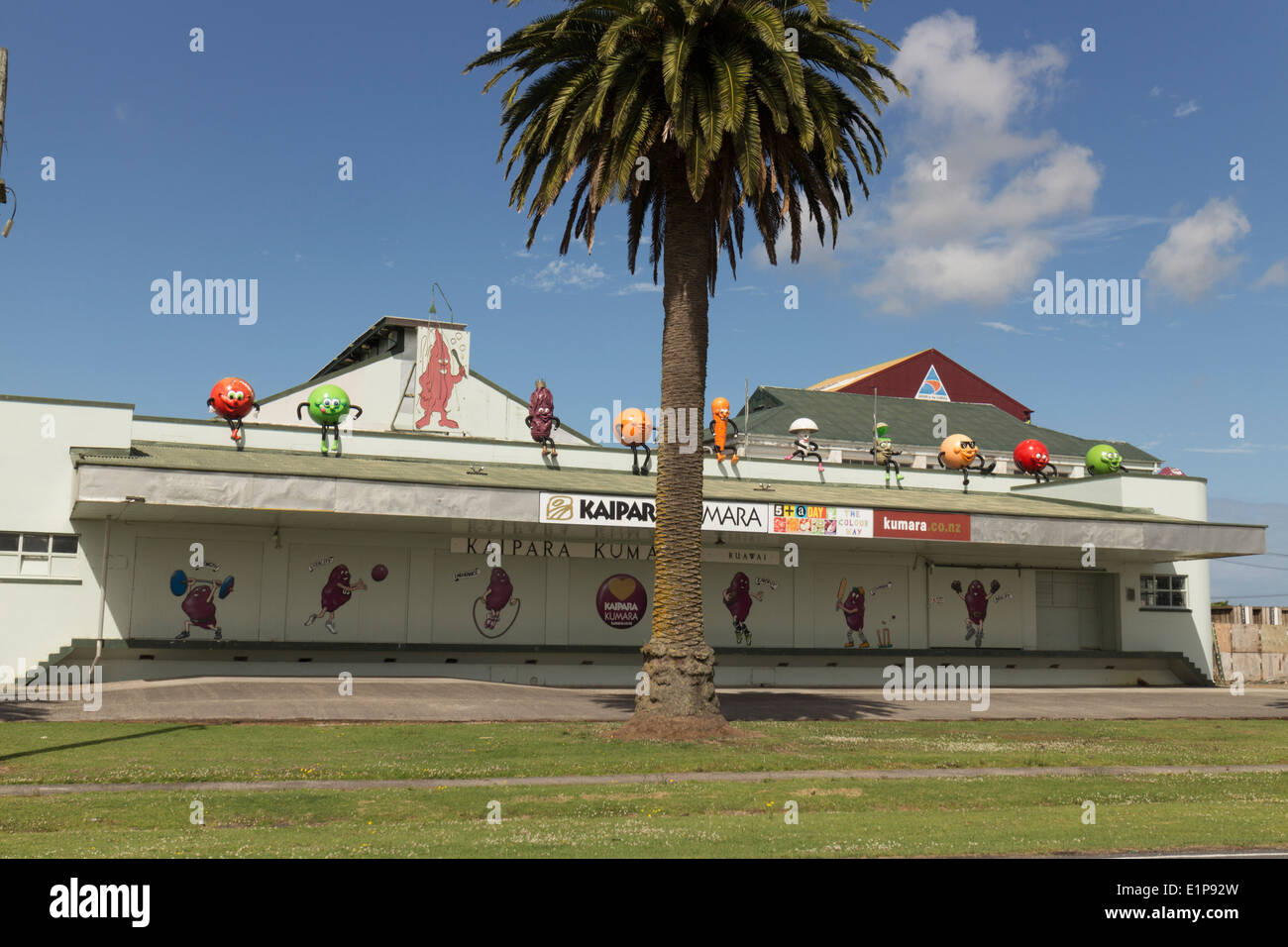 Nuova Zelanda 2013-2014. Ruarwai, Northland. Kaipara Kumara e vegetali mercato all'ingrosso con il gigante di frutta e verdura le verdure. Foto Stock