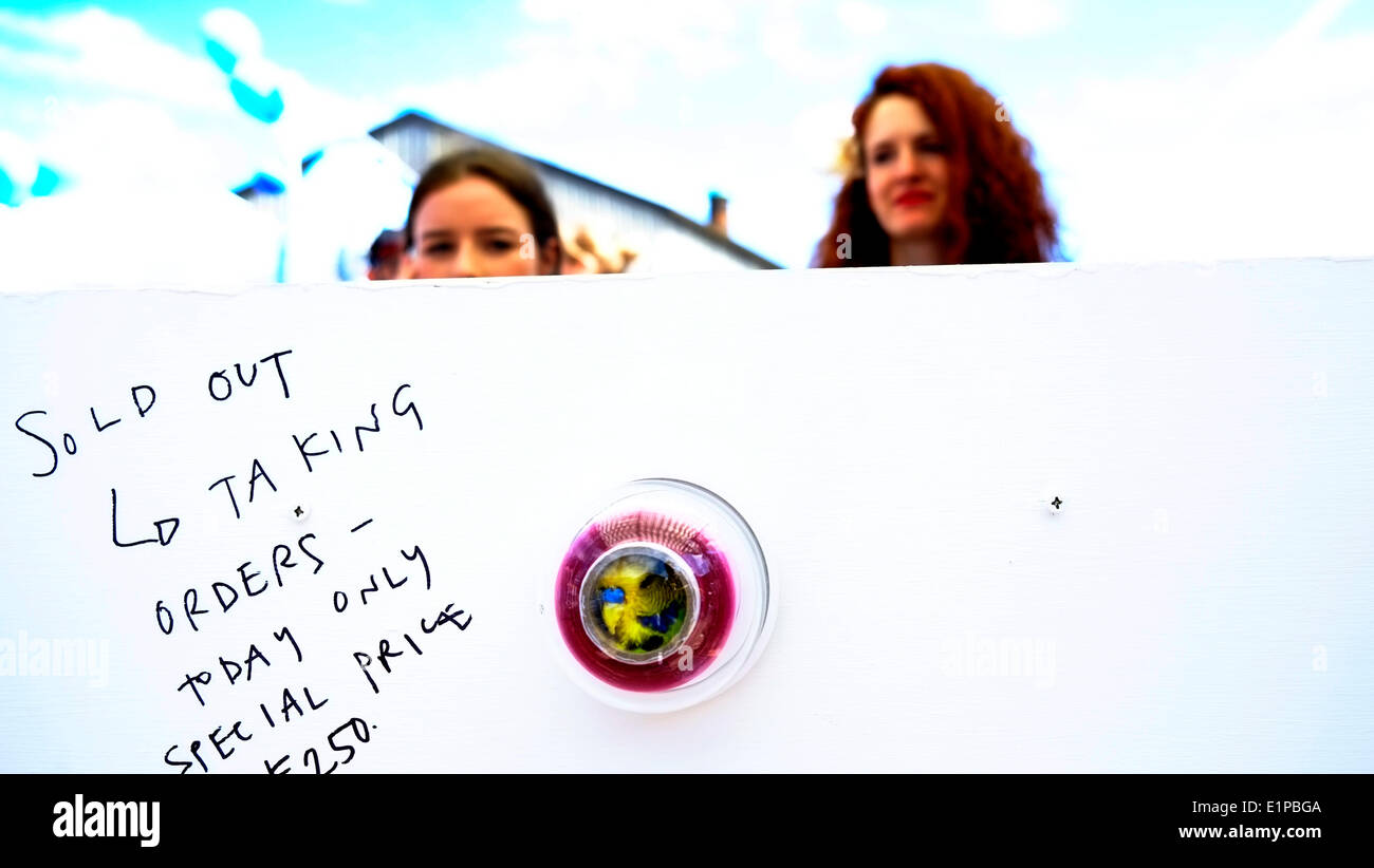 Londra, Regno Unito. Il giorno 08 Giugno, 2014. Polly Morgan . Auto d'Arte Fiera di avvio a Londra il brick lane attira artisti e collezionisti per il suo undicesimo anno. Credito: Rachel Megawhat/Alamy Live News Foto Stock