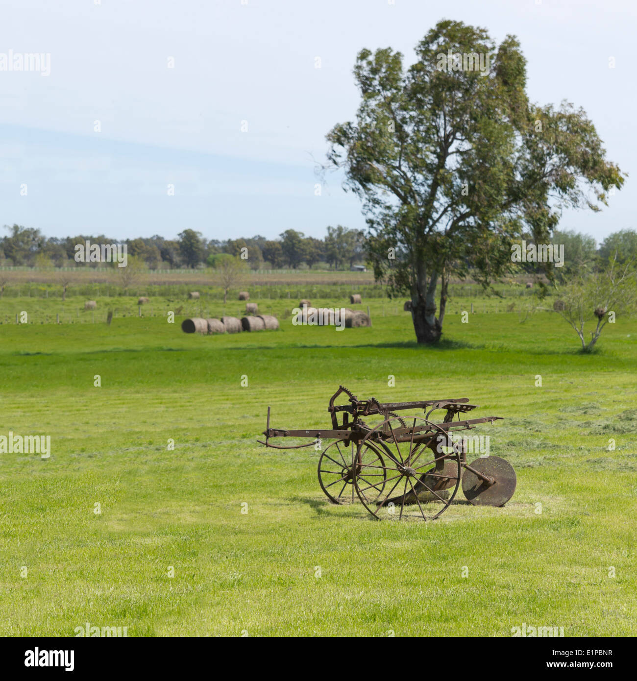 Ex falciatrice agricola. Il passare del tempo, rurale scena. Foto Stock
