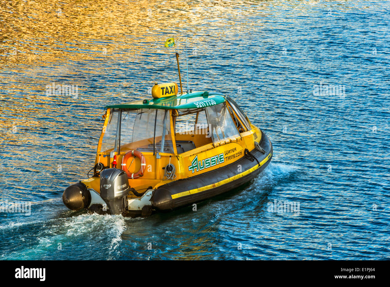 Sydney Harbour water taxi, nei tradizionali colori Australiano, verde e oro, bagnato in oro la luce del pomeriggio Foto Stock