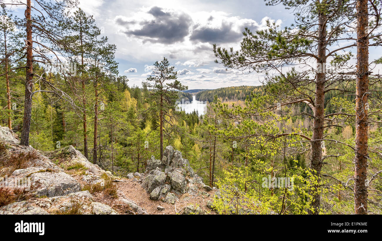 Una vista dalla capanna Kotajärvi, Helvetinjärvi national park, Ruovesi, Finlandia, UE Foto Stock