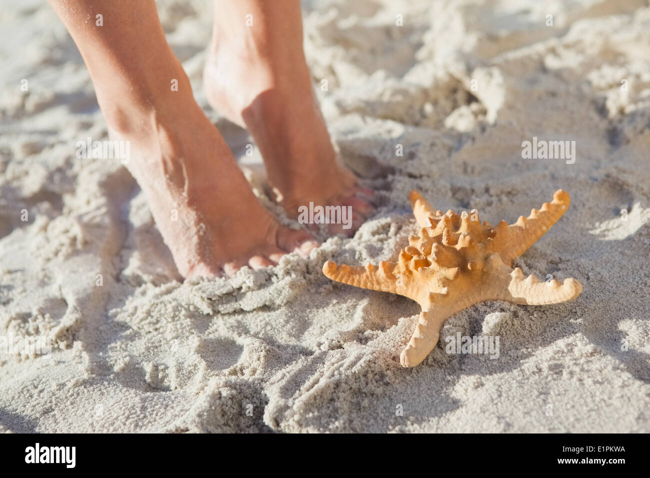 Donna in piedi accanto a stella di mare sulla spiaggia Foto Stock