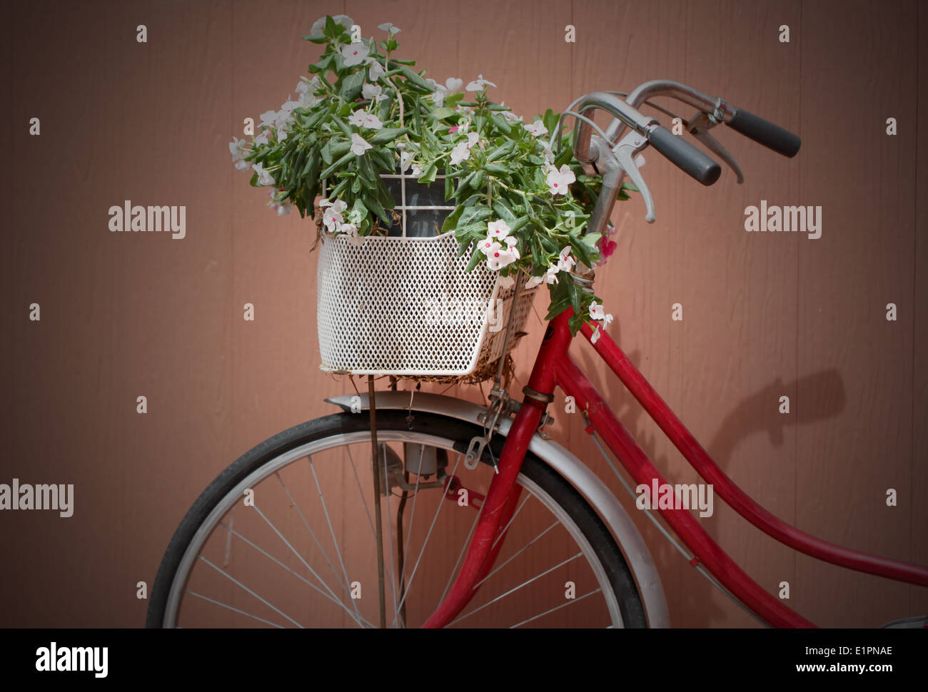 negozio fiori finti per mattere al cestino della bicicletta bolzano