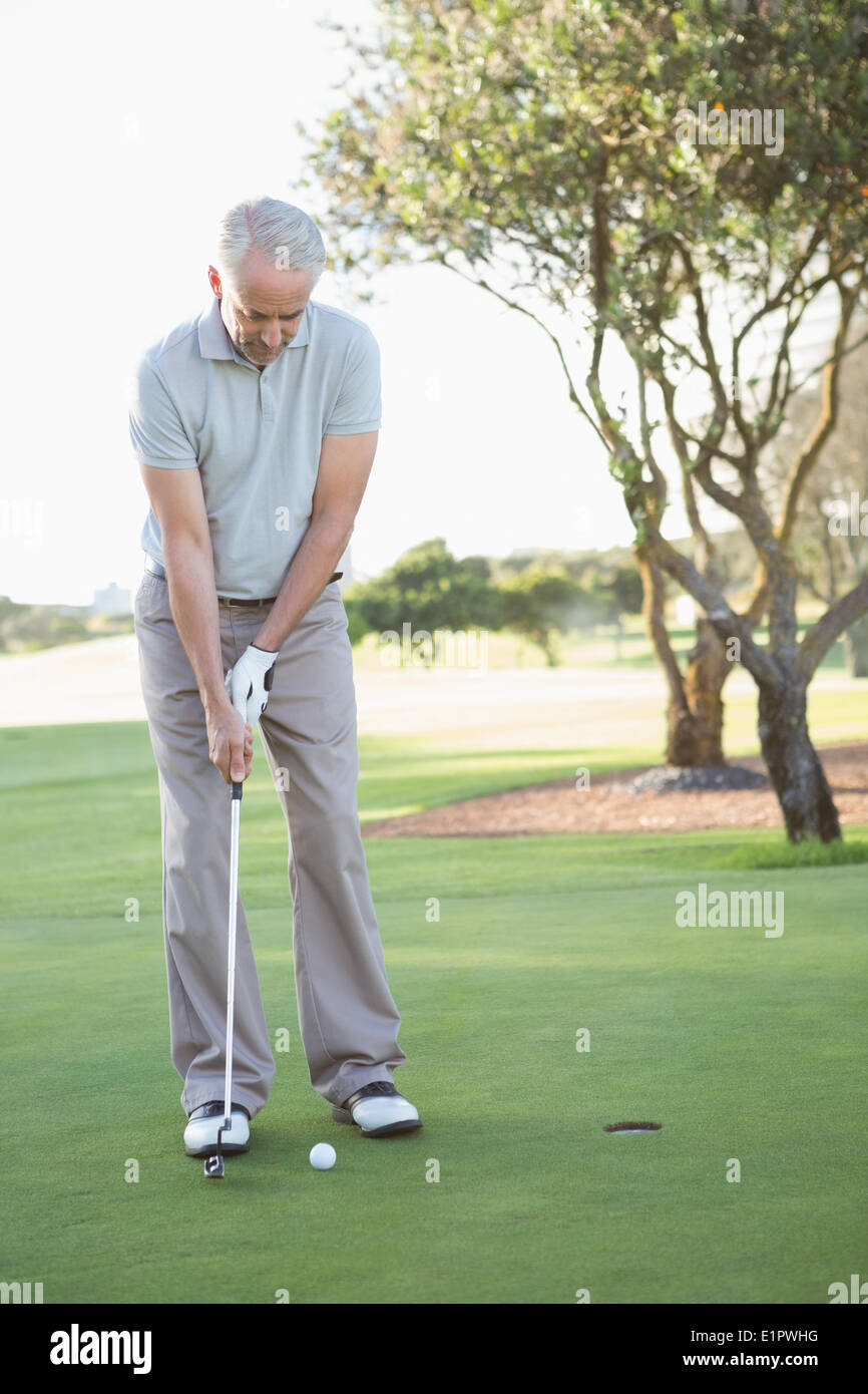 Il Golfer mettendo la sfera sul verde Foto Stock