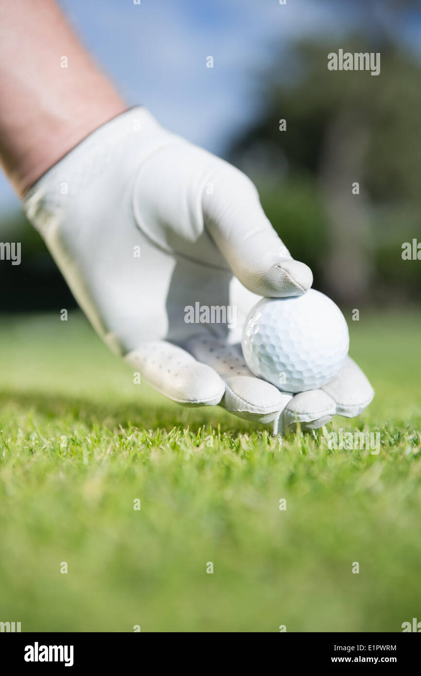 Il Golfer posizionando la pallina da golf sul raccordo a T Foto Stock