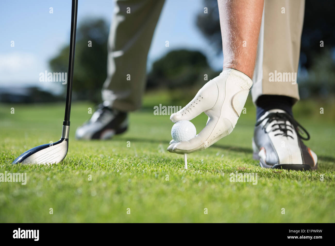 Il Golfer posizionando la pallina da golf sul raccordo a T Foto Stock