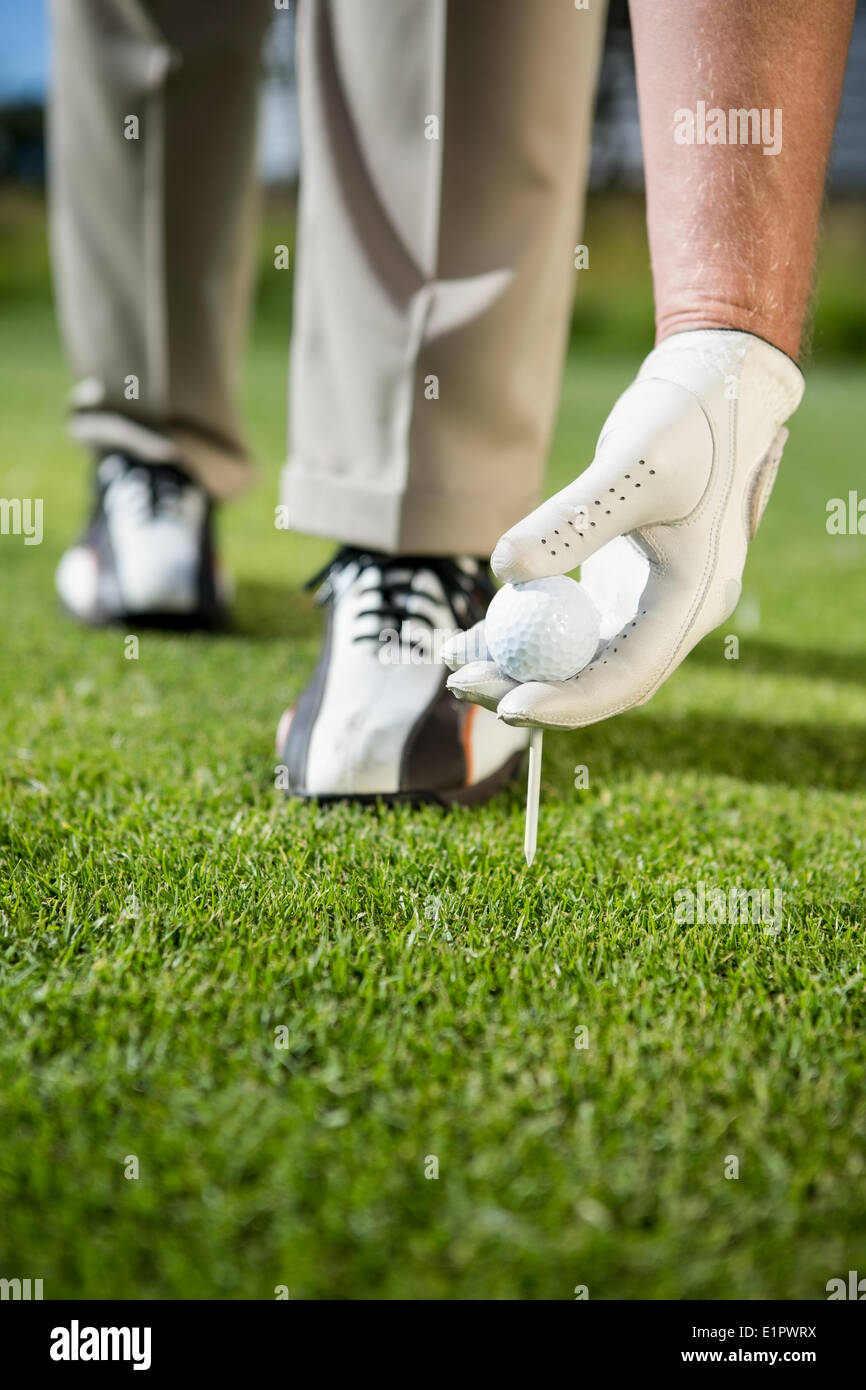 Il Golfer posizionando la pallina da golf sul raccordo a T Foto Stock