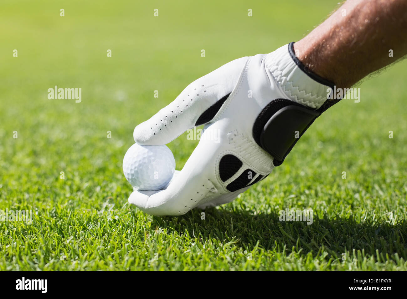Il Golfer posizionando la pallina da golf sul raccordo a T Foto Stock