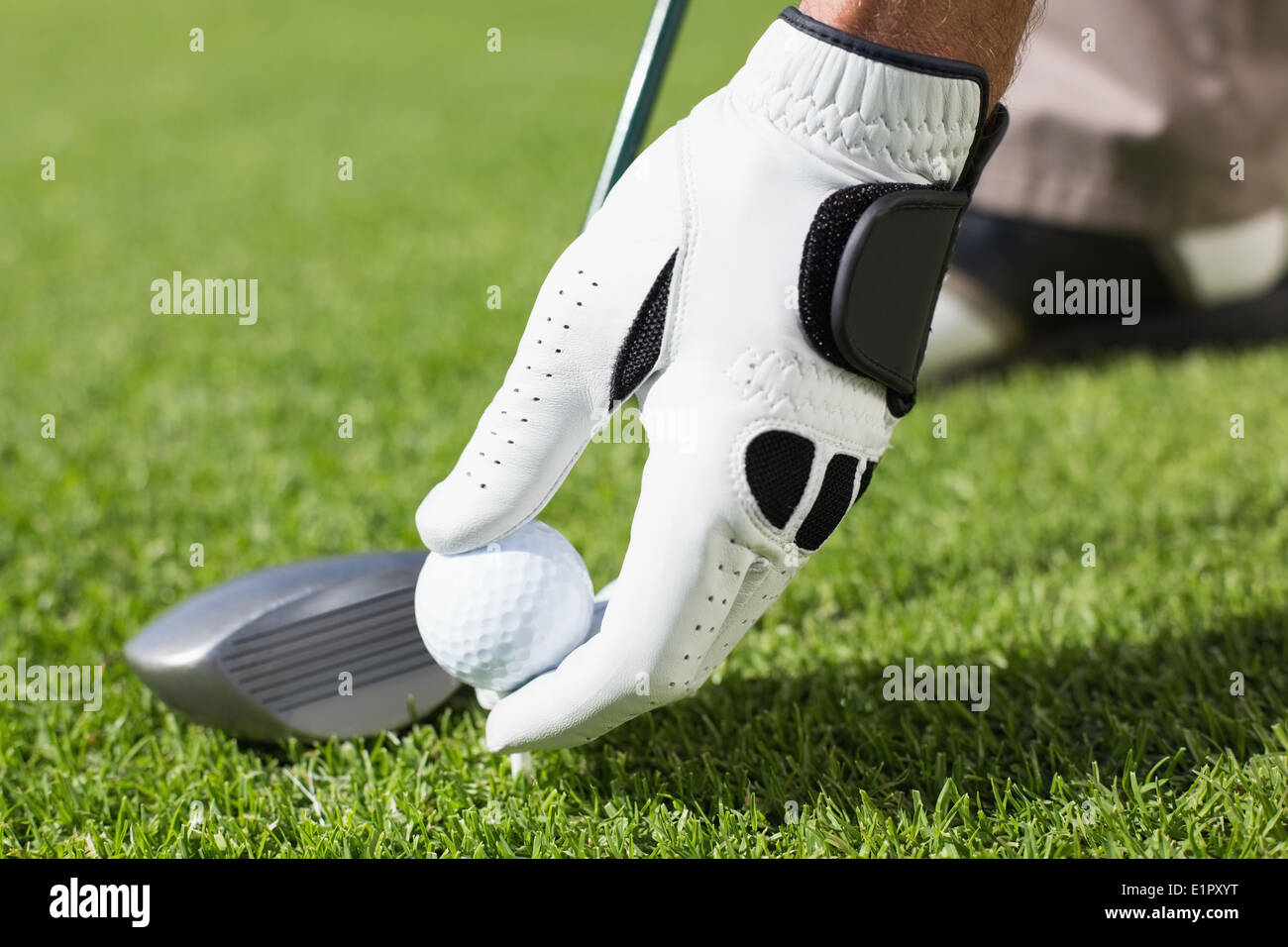 Il Golfer posizionando la pallina da golf sul raccordo a T Foto Stock