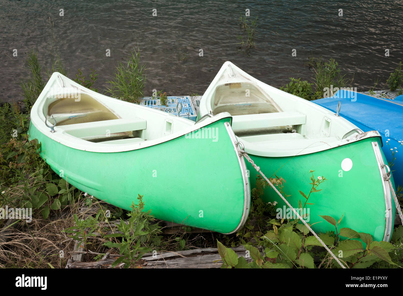 Due canoe verde in riva al lago Foto Stock