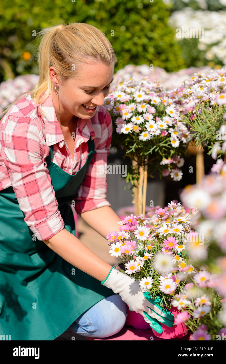 Centro giardino donna lavoratrice guardando giù daisy vasi di fiori sunny Foto Stock