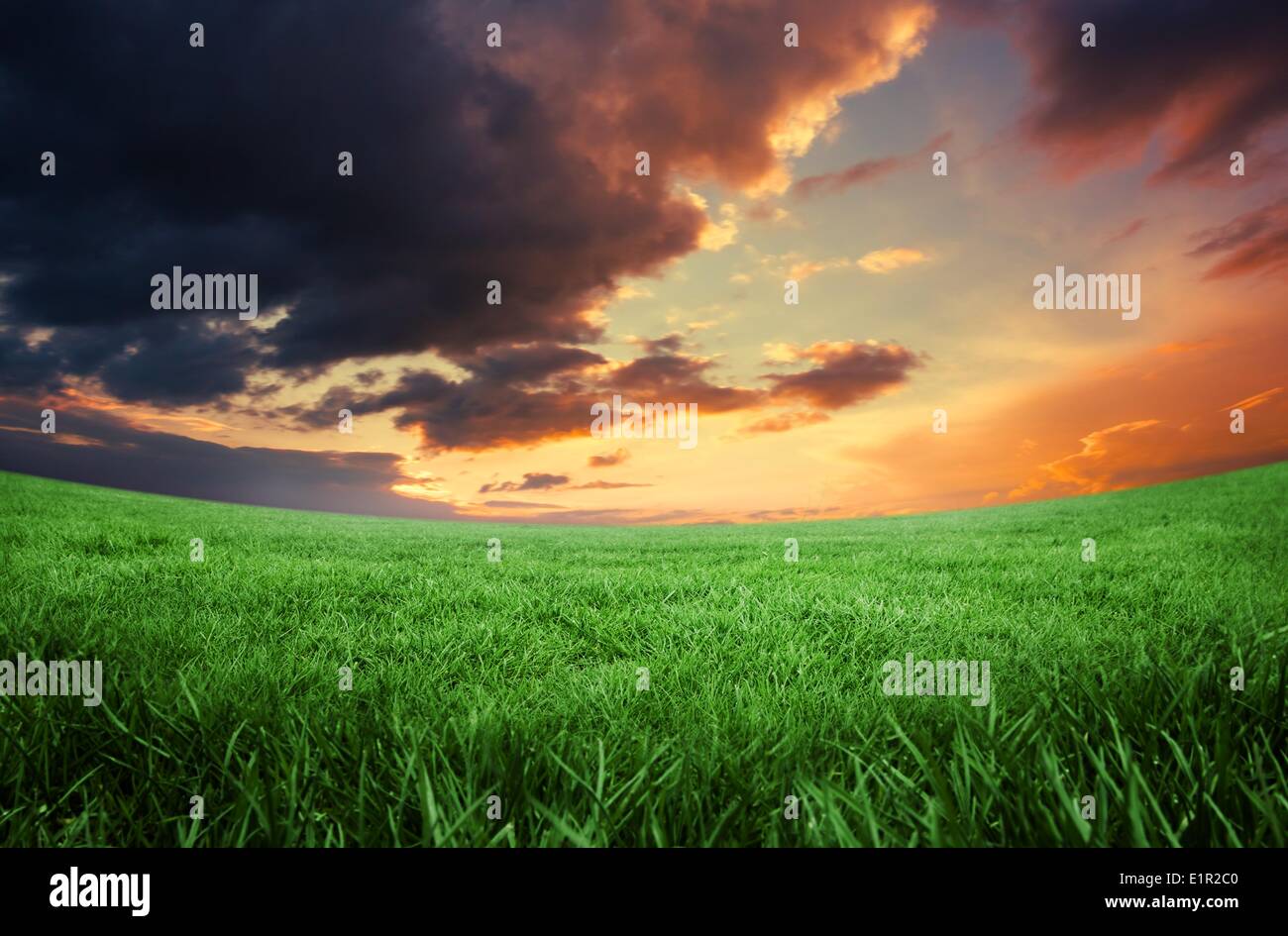 Campo verde sotto il cielo arancione Foto Stock