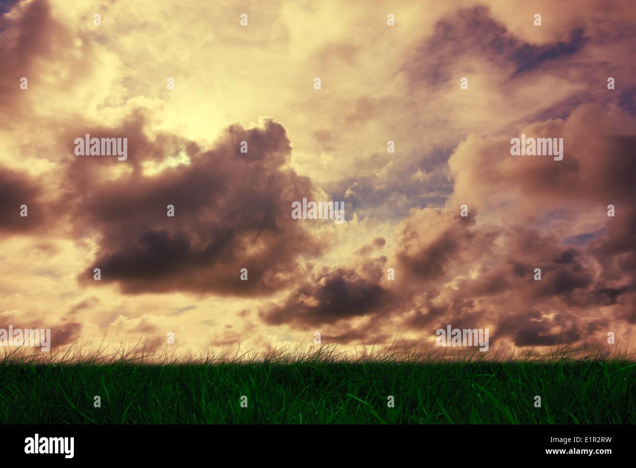 Erba verde sotto il cielo nuvoloso Foto Stock