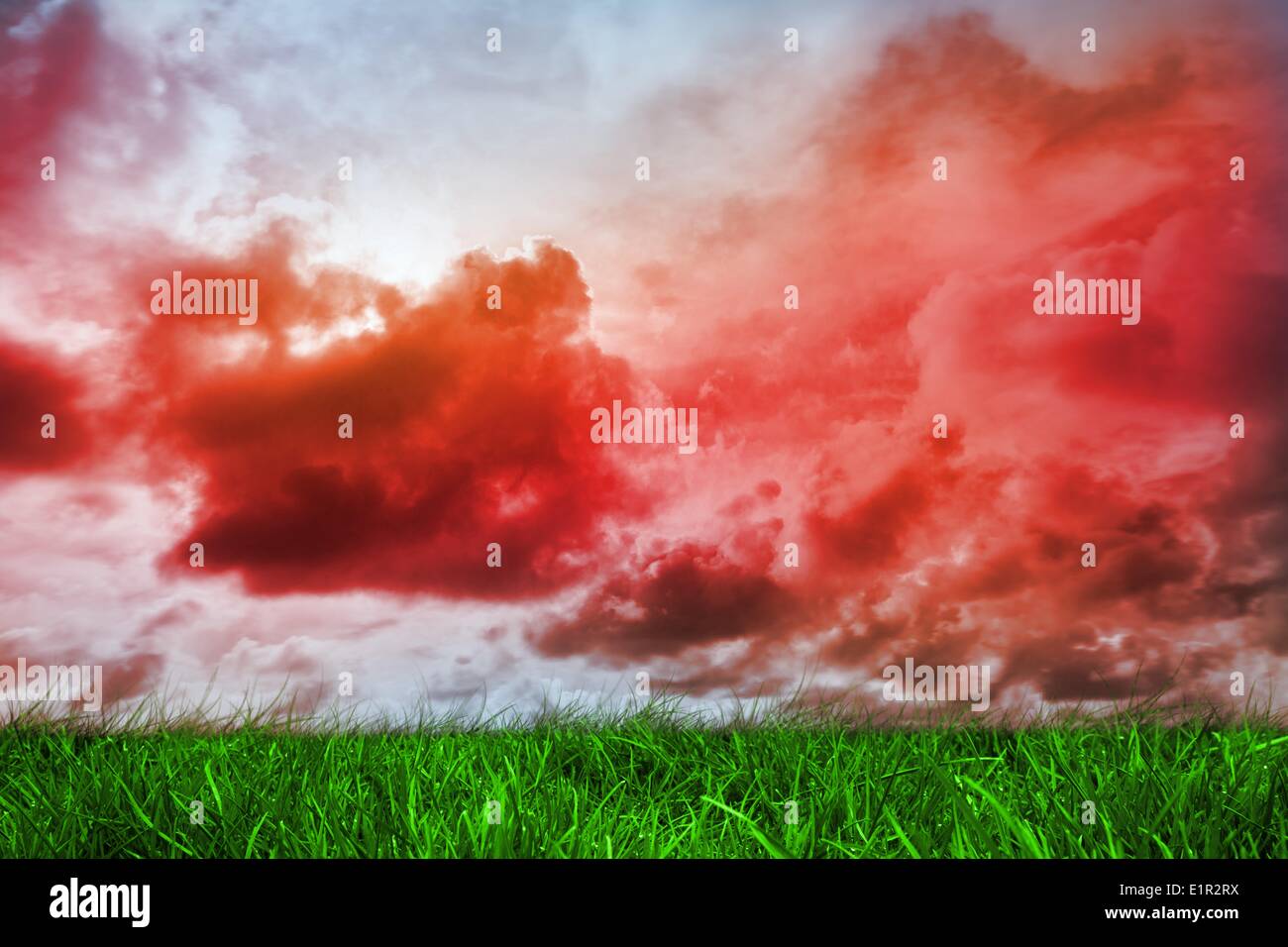Erba verde rosso sotto il cielo nuvoloso Foto Stock