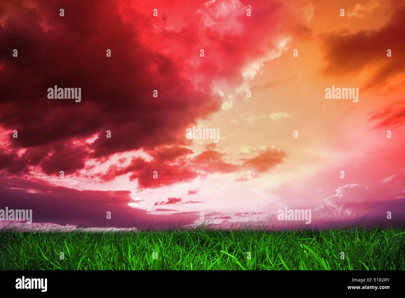 Erba verde sotto il rosso e viola sky Foto Stock
