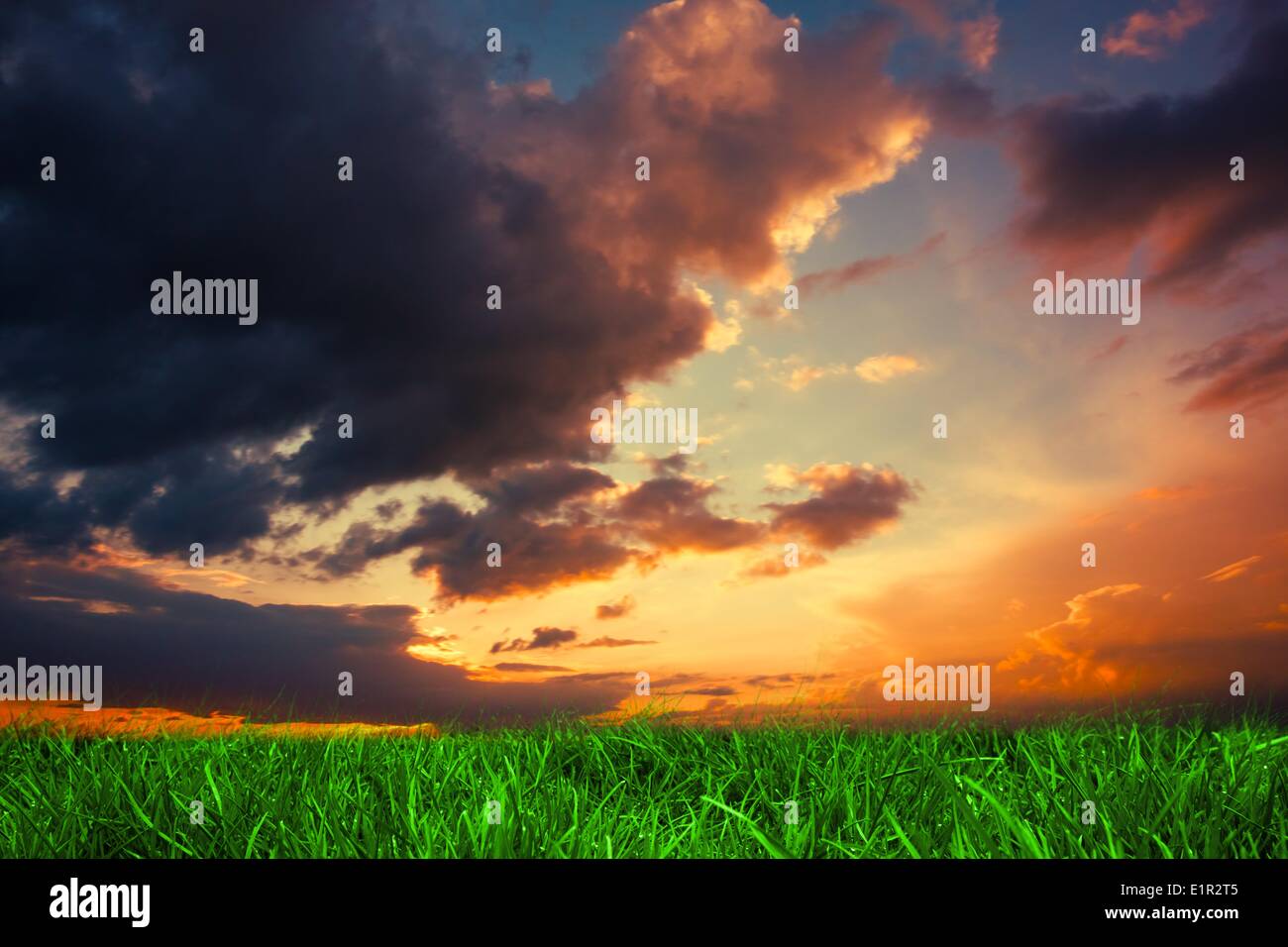 Erba verde sotto il blu scuro e il cielo arancione Foto Stock