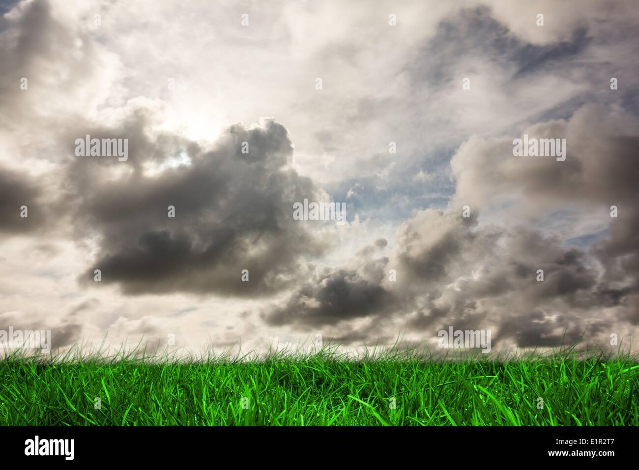 Erba verde sotto il cielo grigio Foto Stock