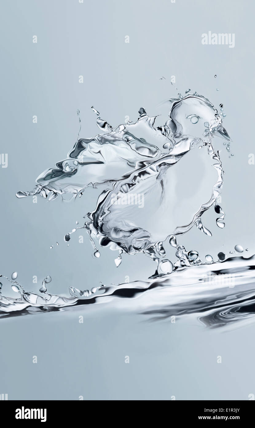 Acqua blu pulcino Foto Stock