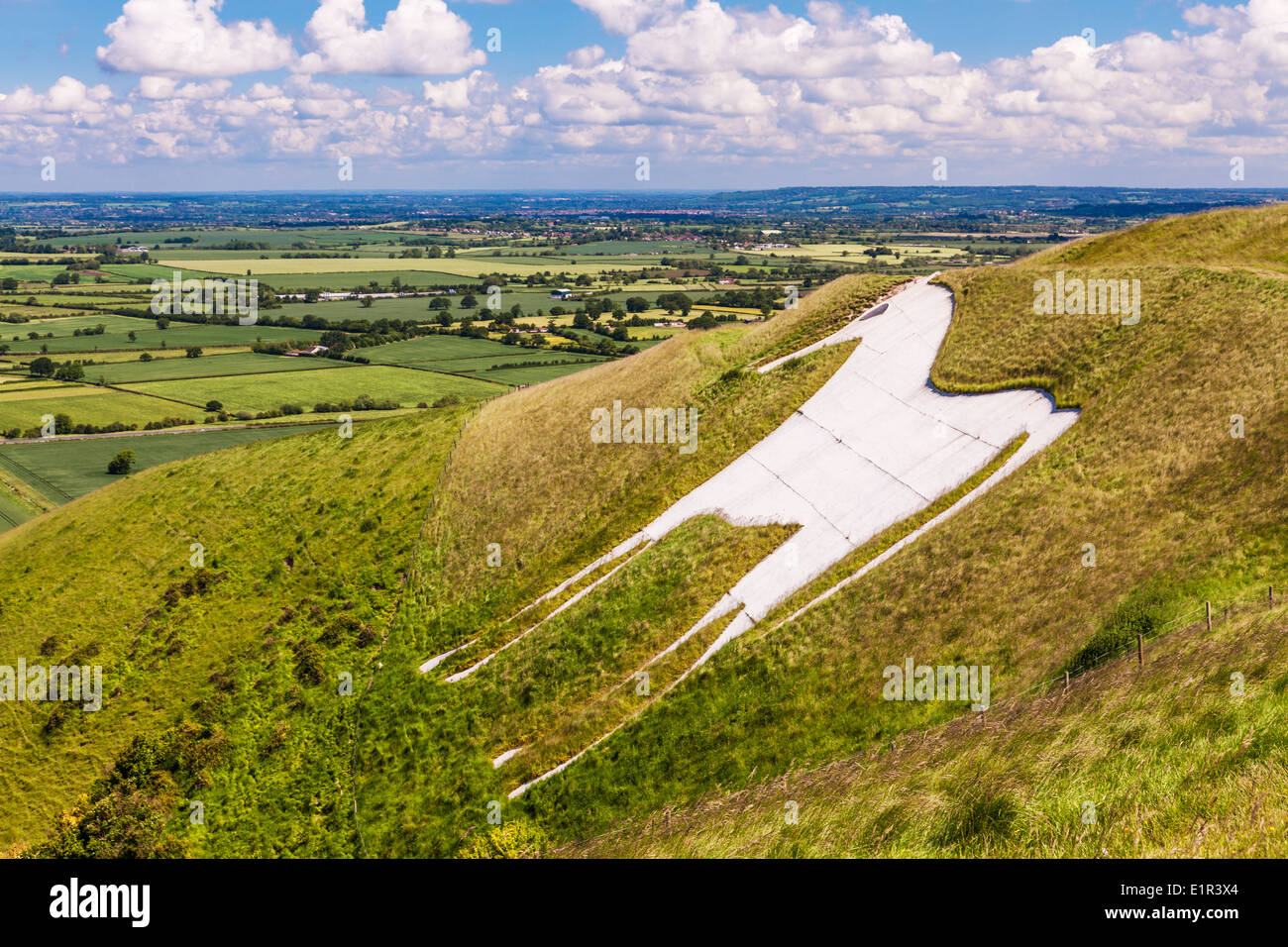 Il Cavallo Bianco sotto Bratton Camp, un'età del ferro hillfort vicino al Westbury nel Wiltshire. Foto Stock