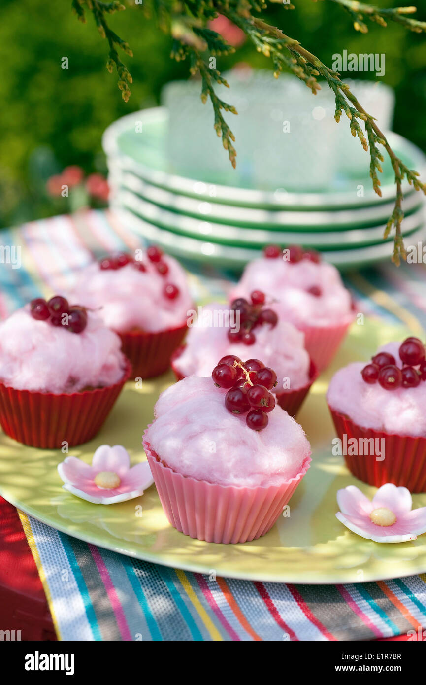 Caramella di cotone e ribes tortine Foto Stock