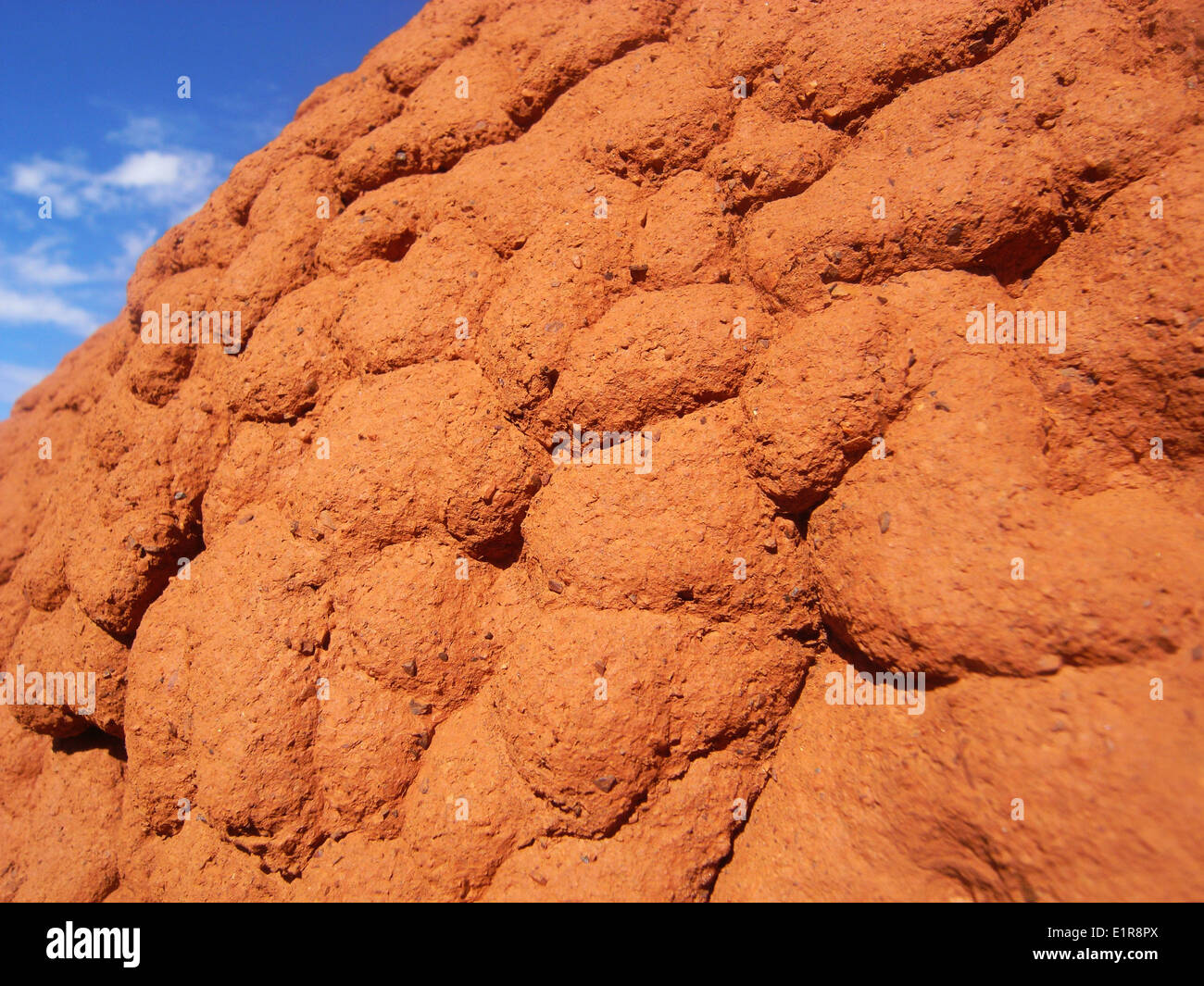 Dettaglio delle texture di termite mound, regione Pilbara, Australia occidentale Foto Stock